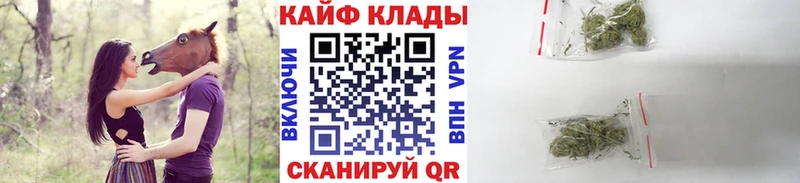 Сколько стоит Кяхта Псилоцибиновые грибы  ГАШ  Конопля  КОКАИН  Вейп ТГК  A PVP 
