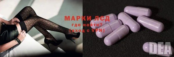 прущие грибы Абинск