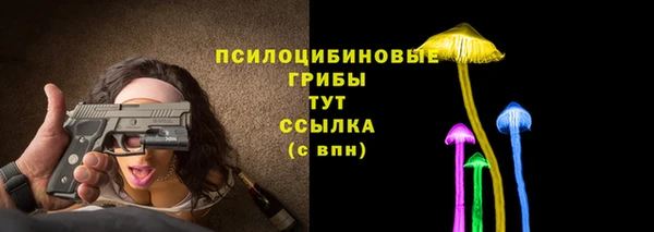 прущие грибы Абинск