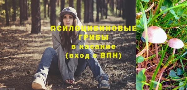 прущие грибы Абинск