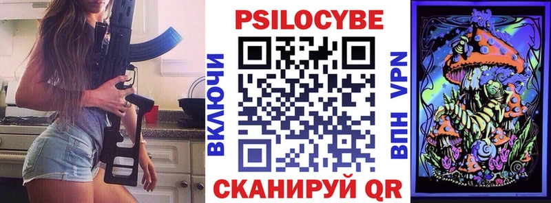 блэк спрут зеркало  Кяхта  Псилоцибиновые грибы Cubensis 